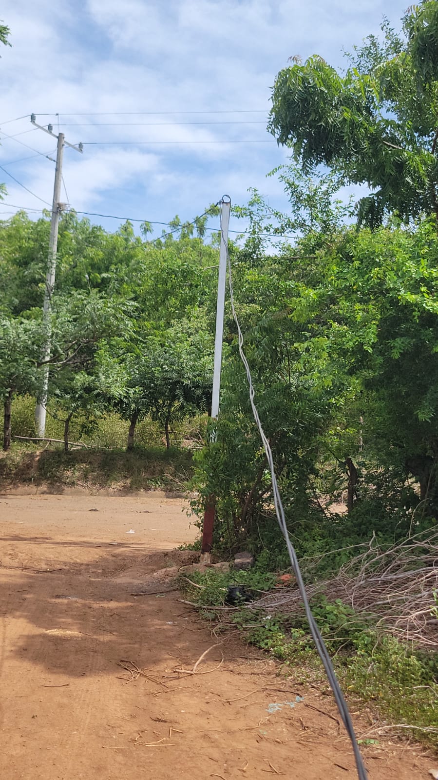 Leaning utility pole with hanging wires beside a dirt road and green trees under a blue sky.