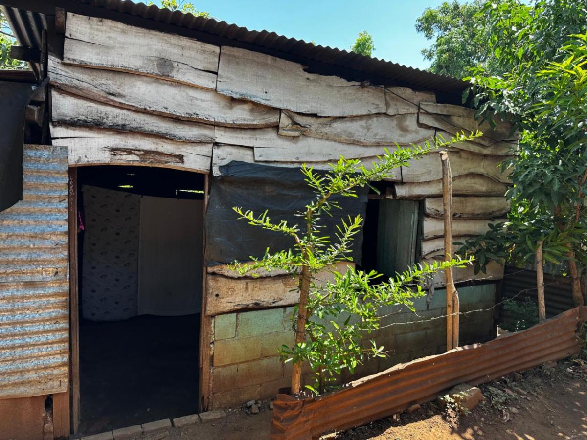 Weathered wooden shack with a corrugated metal roof, open doorway, and a small garden fence nearby under a sunny sky.